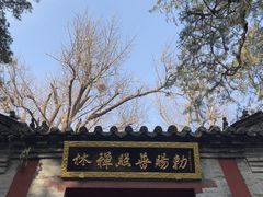 -泰山风景名胜区-普照寺