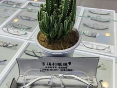 -罗伯特眼镜·蔡司官方授权(罗湖国贸店)