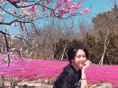 -棒棰岛宾馆景区