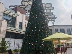 -观澜湖新城运动奥莱区