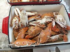 -视界美食自助餐厅·石家庄希尔顿酒店