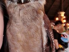 -清迈夜间动物园