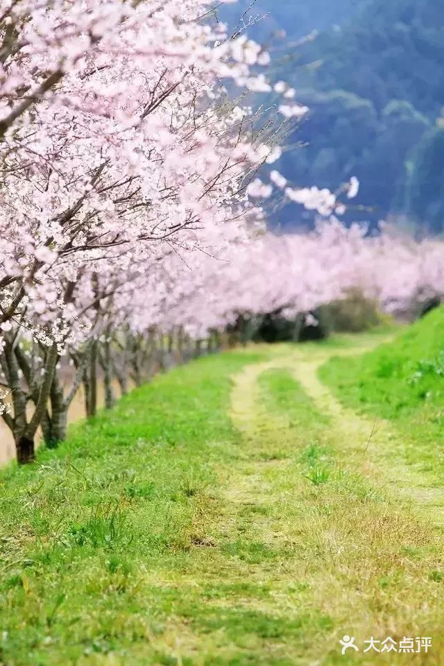 《城市公园》