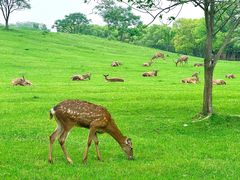 -良渚古城遗址公园