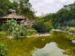 -上海吴淞炮台湾国家湿地公园