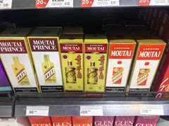 -米兰-马尔彭萨机场