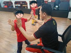 -温鉴良实用咏春拳