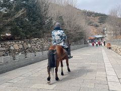 -雁门关景区