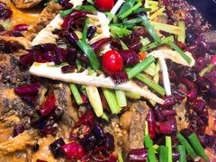 -老板恋上鱼(恒隆广场店)