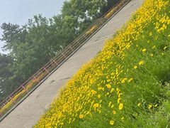 -绿堤公园