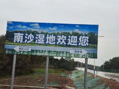 -大湾区中央湿地公园