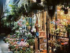 -溪岸路花鸟市场