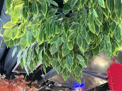 -城墙拐拐火锅(三峡广场黑金冠店)