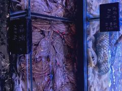 -渔民船说·北塘海鲜·天津菜·海肠捞饭(北塘古镇店)