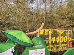 -南京市无想山景区