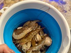 -深圳温德姆至尊酒店