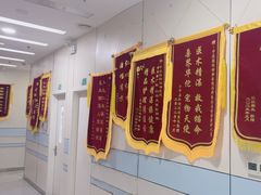 -中农国际动物医院24小时·猫科·骨科·急重症中心