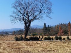 -塔川景区
