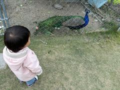 -菊园百果园