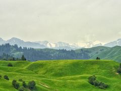 -新疆那拉提国家旅游度假区