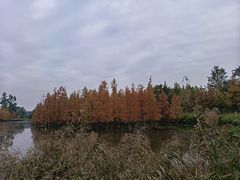 -白鹭湾湿地公园