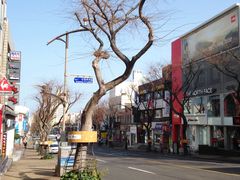 -宝健路步行街(Pedestrian Shopping Street)