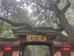 -慧娟面馆·餐厅(望江路店)
