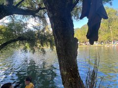 -贵阳市花溪国家城市湿地公园