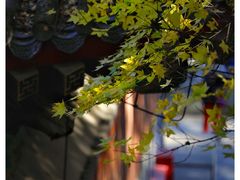 -香山公园