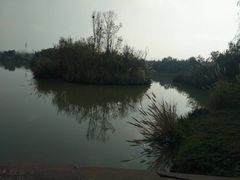 -白鹭湾湿地公园