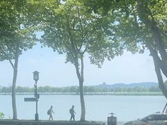 -杭州新新饭店·1913餐厅