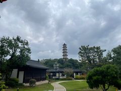 -江心屿景区