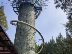 -黄海国家森林公园