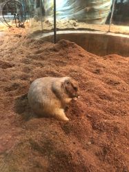 点击看大图 -Zoolung Zoolung动物主题公园(海信广场店)