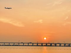 -宝安西湾红树林湿地公园