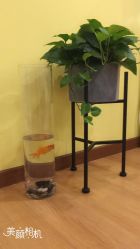 -FineYoga梵音瑜伽·普拉提