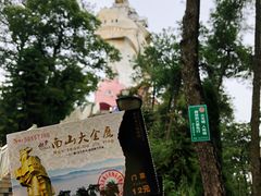 -大金鹰园