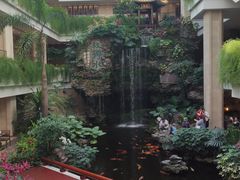 -广州白天鹅宾馆