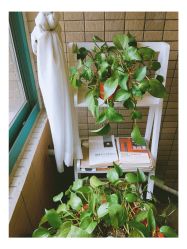 -瑜舍瑜伽连锁教室