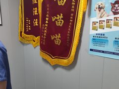 -半岛宠物医院24小时(科华中路店)