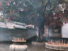 -悦城龙母祖庙