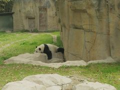 -上海野生动物园