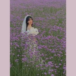 -青禾蒙娜丽莎婚纱摄影(武汉总店)
