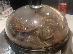 -半岛听涛蒸汽海鲜自助(K11店)