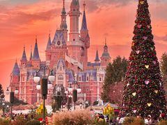 -上海迪士尼度假区