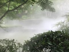 -徐鼎盛民间菜(城南家园店)