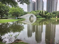 -映月湖公园