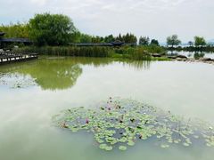 -横山水库