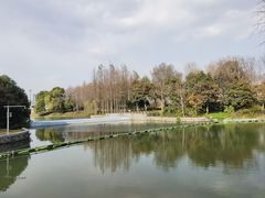 -尚贤河湿地