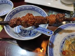红柳羊肉串-蠔友汇(大东店)